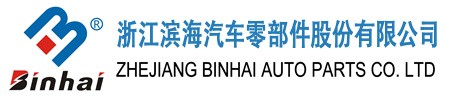 Zhejiang Binhai Auto Parts Co. Ltd